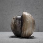 Schnecke.jpg