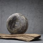 Scheibe auf Holz.jpg
