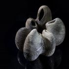 Cocoons1 - Kopie.jpg